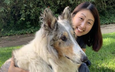 How to Recognize Pain in Pets