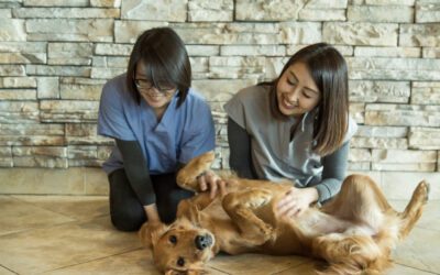 A tale of passion, collaboration, and a sprinkle of magic โจ