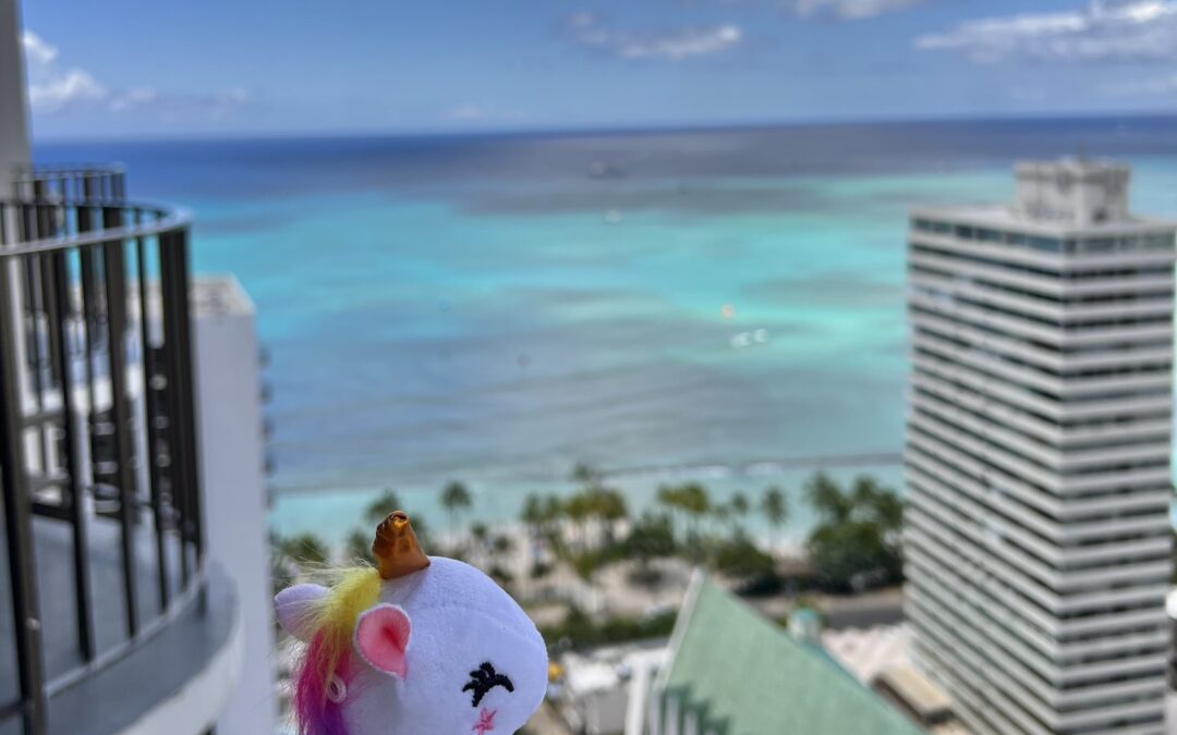 unicorn with beach in background