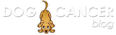dog cancer blog logo