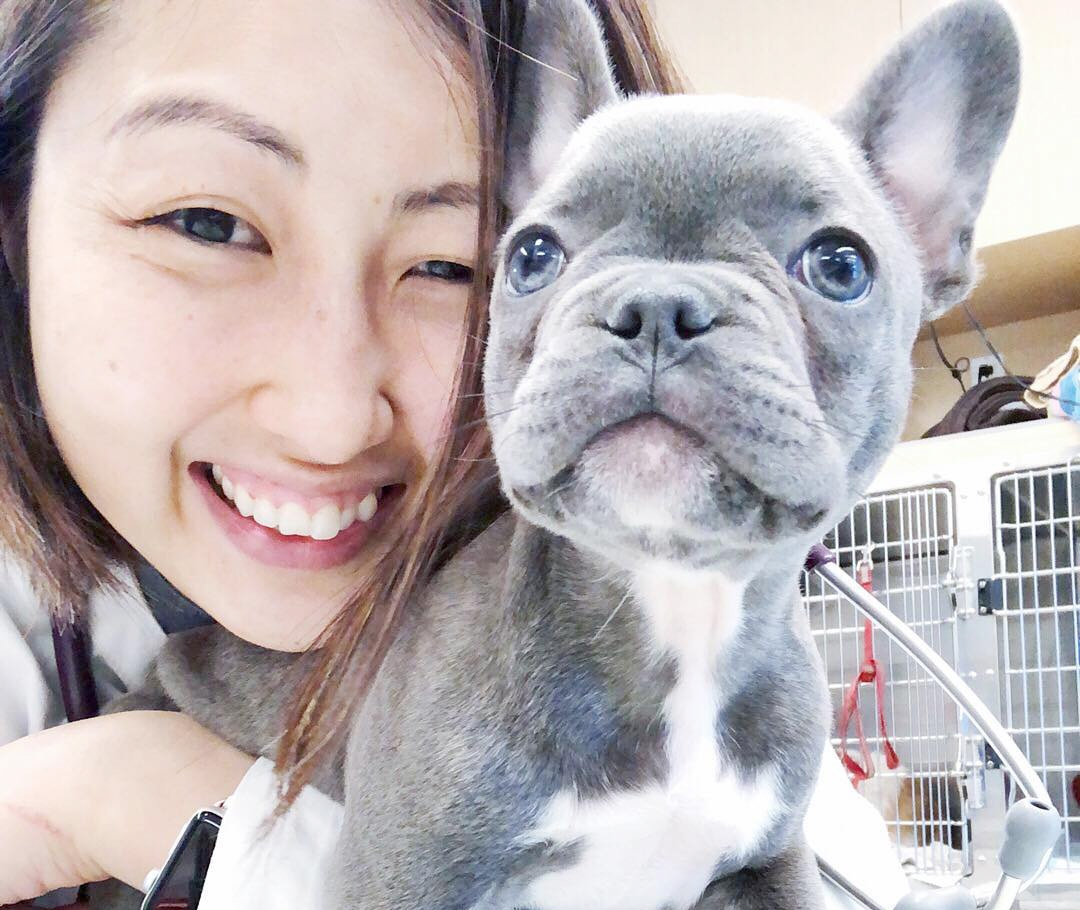 Accessibility statement integrative pet wellness center