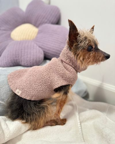 A small dog in a pink sweater resting on a bed.