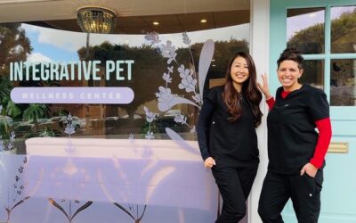 California’s Leading Holistic Oncology Center for Pets