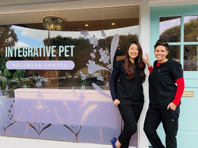 California’s Leading Holistic Oncology Center for Pets