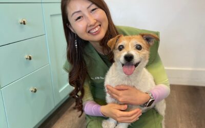 💜 Diving Into The Subject Of Pet Cancer