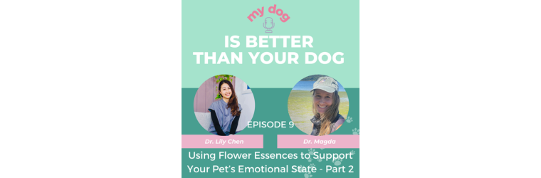 Using Flower Essences to Support Your Pet’s Emotional State with Dr. Magda – Part 2