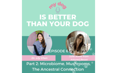 Episode 6, Part 2: Microbiome, Mushrooms, The Ancestral Connection