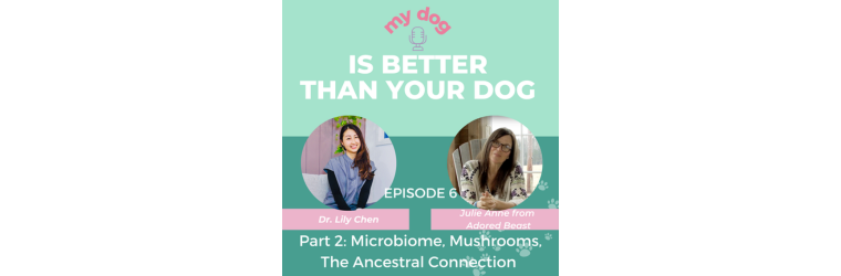 Episode 6, Part 2: Microbiome, Mushrooms, The Ancestral Connection