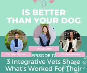Episode 17: 3 integrative vets share what’s worked for their cancer patients