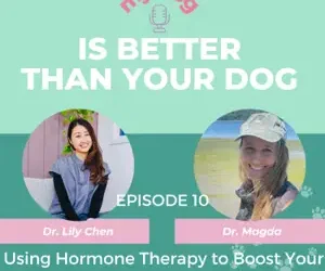 Episode 10: Using Hormone Therapy to Boost Your Spayed or Neutered dogs Health Pt 3