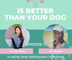 Episode 11: Is Using Long-lasting Pain Injections (Librela and Solensia) Safe For Your Pet? Pt 4