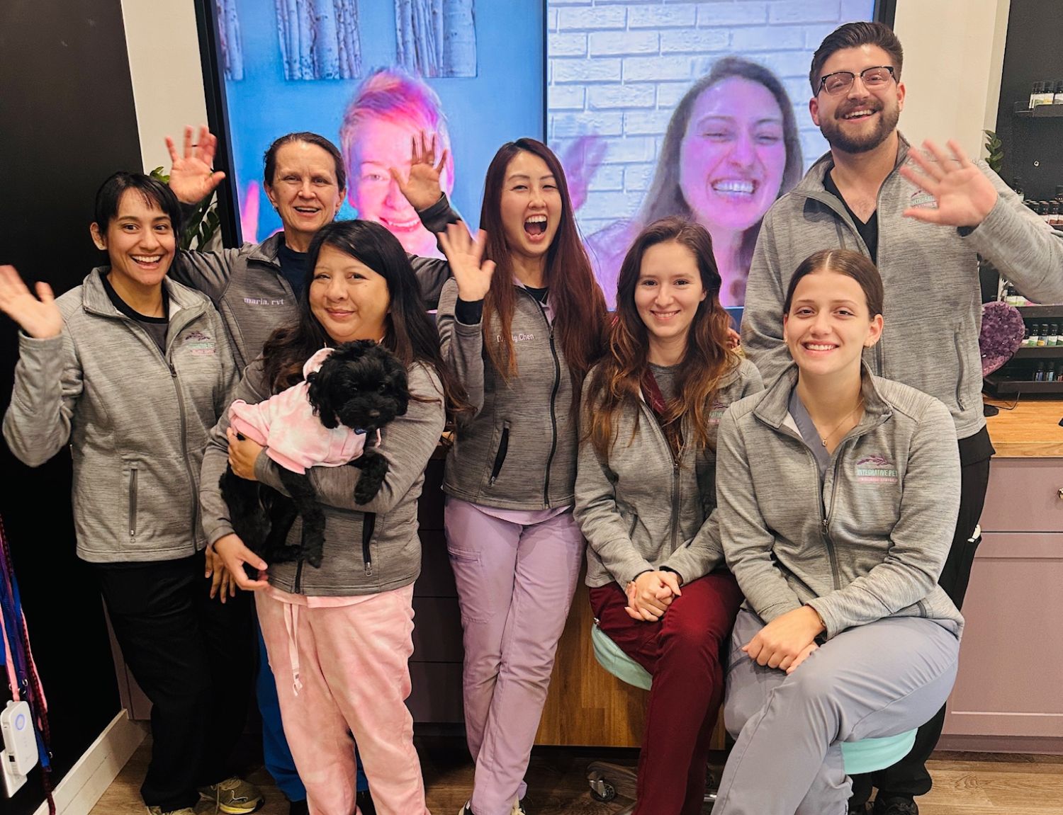 Team image Integrative Pet Wellness Center Team