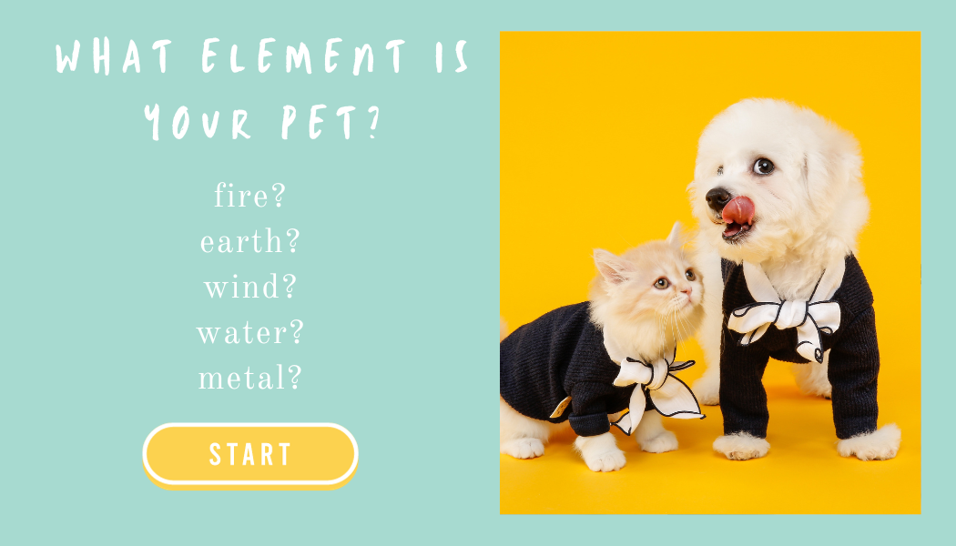 what element is your pet graphics