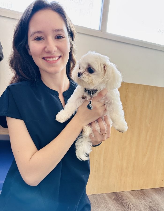 vet staff with pet Vet staff holding a pet