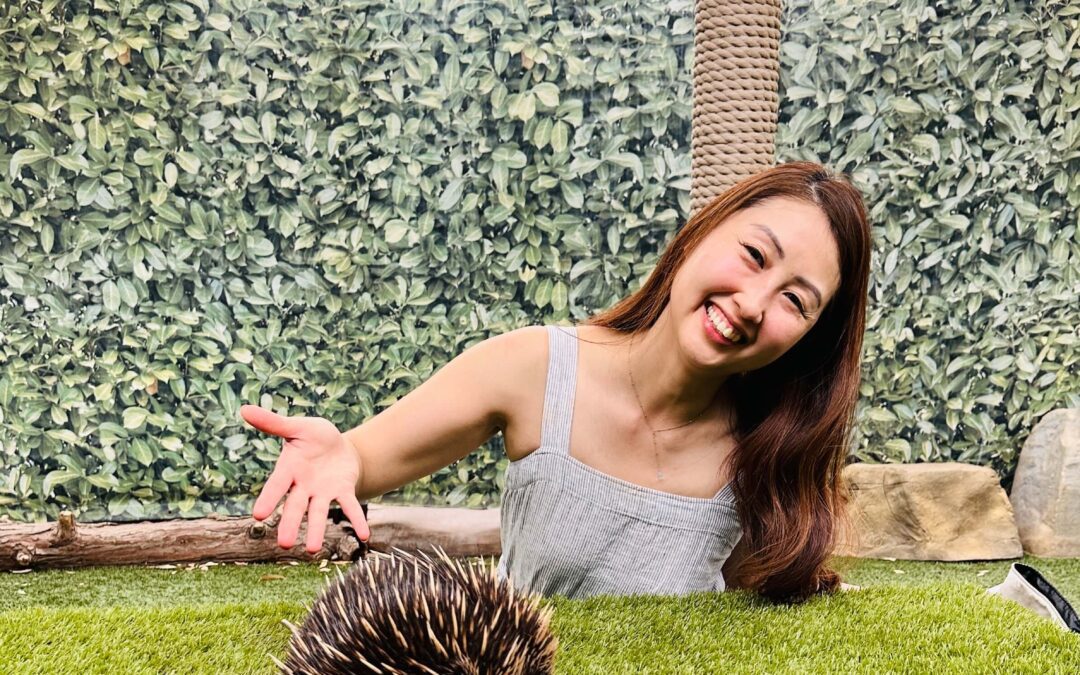 Vet with an echidna