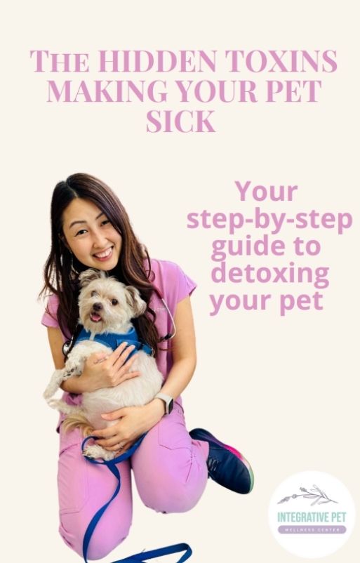 hidden toxins image1 Pet hidden toxins graphics