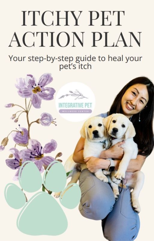 Itchy pet action plan graphics