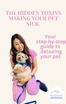 Pet hidden toxins graphics