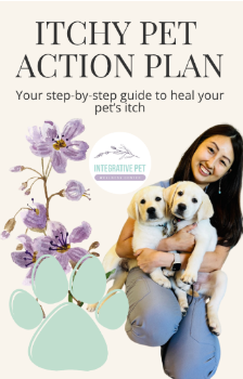 Itchy pet action plan graphics