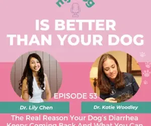Episode 53: The Real Reason Your Dog’s Diarrhea Keeps Coming Back And What You Can Do About It w/ Gut Health Expert Dr. Katie Woodley
