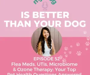 Episode 52: Flea Meds, UTIs, Microbiome & Ozone Therapy: Your Top Pet Health Questions Answered (1-Year Celebration Episode!)