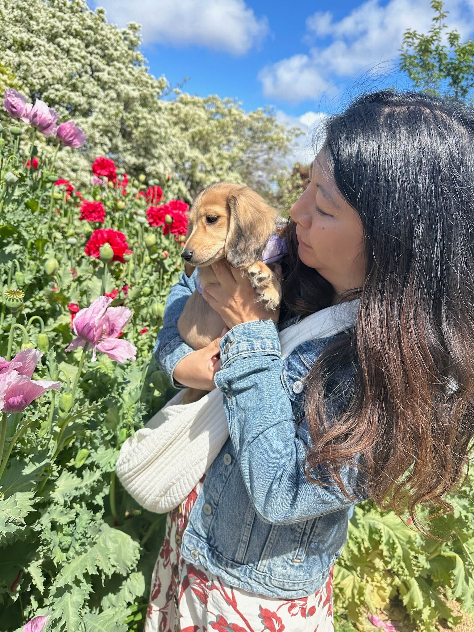 A lady holding a dog