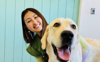 What if pet care could start a revolution?