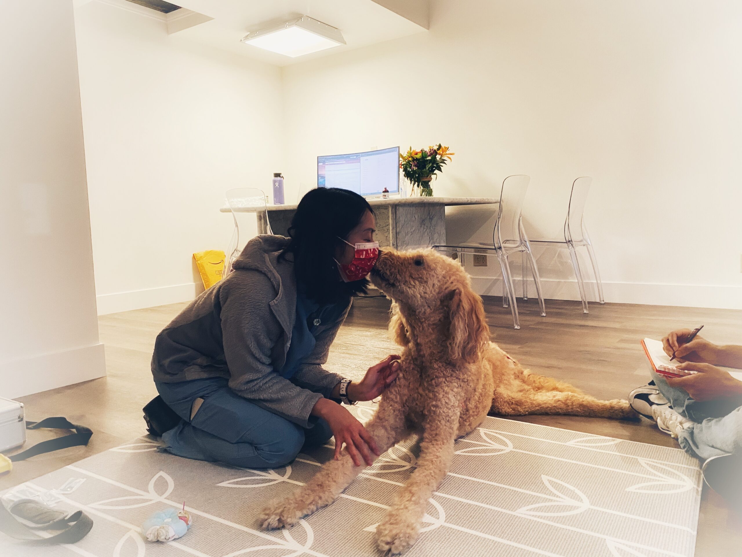 vet with dog vet with dog