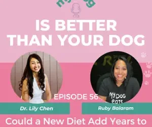 Episode 56: Could a New Diet Add Years to Your Dog’s Life? w/ Ruby Balaram