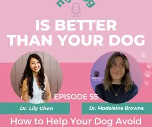 Episode 55: How to Help Your Dog Avoid Painful Joint Problems w/ Dr. Madeleine Browne