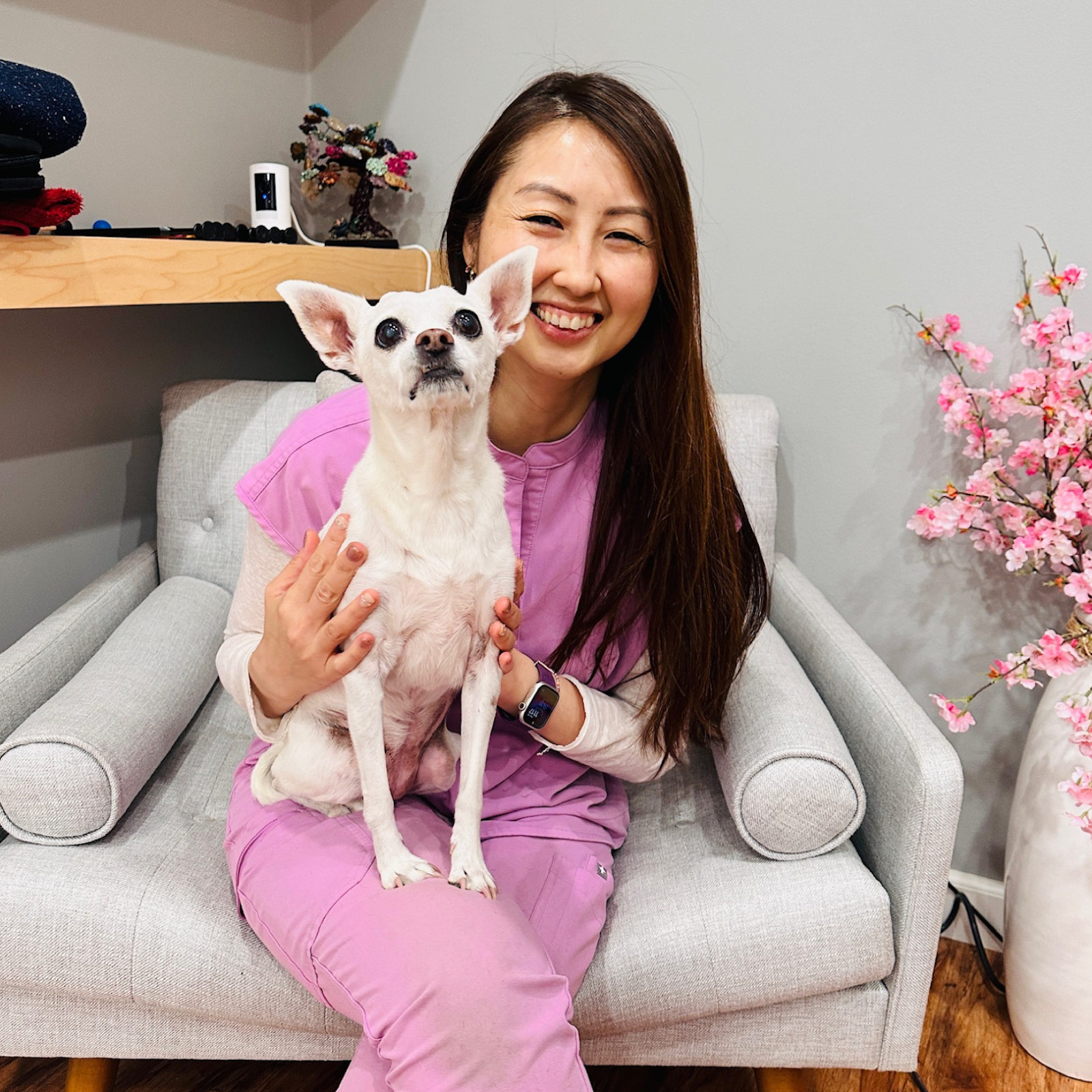 integrative-pet-blog2 Dr. Chen holding Jinju, a white Chihuahua, on her lap