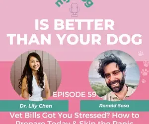 Episode 59: Vet Bills Got You Stressed? How to Prepare Today & Skip the Panic Tomorrow