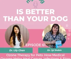 Episode 61: Ozone Therapy for Pets: How Medical Oxygen Helps Heal Cancer, Infections & Slow Healing Wounds w/ Dr. Jyl Rubin