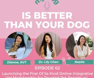 Episode 62: Launching the First Of Its Kind Online Integrative Vet Membership for Devoted Pet Parents w/ Integrative Vet Dr. Lily and DianNe RVT