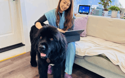 Chat GPT, but for pet parents 🤖🐶