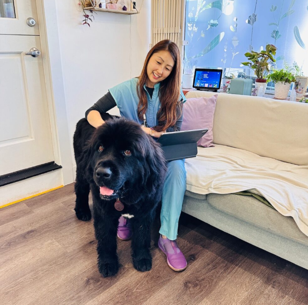 Chat GPT, but for pet parents 🤖🐶