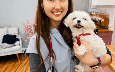 How to Choose Pet Toys Without Lead, Mercury, or Arsenic 🐶