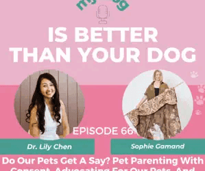Episode 66: Do Our Pets Get A Say? Pet Parenting With Consent, Advocating For Our Pets, And Showing Up For Dogs In Shelters w/ Sophie Gamand