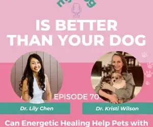 Episode 70: Can Energetic Healing Help Pets with Cancer? Inside Bioresonance Therapy w/ Dr. Kristi Wilson