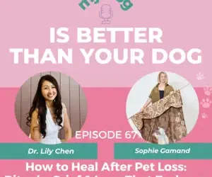 Episode 67: How to Heal After Pet Loss: Rituals, Grief & Love That Endures w/ Animal Chaplain Sophie Gamand