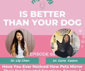 Episode 68: Have You Ever Noticed How Pets Mirror Their Pet Parents? Emotions, Energy & the Human–Animal Bond w/ Dr. Carla Castro, DVM