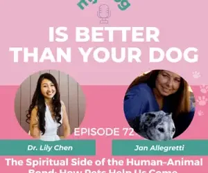 Episode 72: The Spiritual Side of the Human–Animal Bond: How Pets Help Us Come Home to Ourselves w/ pet homeopath Jan Allegretti