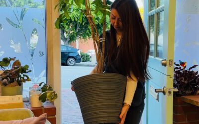 Feeling Lost After Losing Your Pet? 🌈