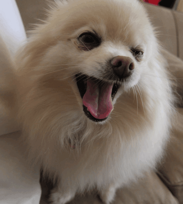 The medicine hiding in plain sight (it’s free, and you already have it)