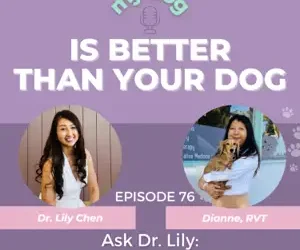 Episode 76: Ask Dr. Lily Chen: Your Questions Answered