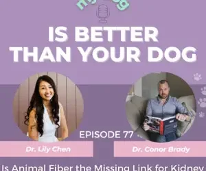 Episode 77: Is Animal Fiber the Missing Link for Kidney Disease, Bloat & Chronic GI Issues in Dogs? w/ Dr. Conor Brady