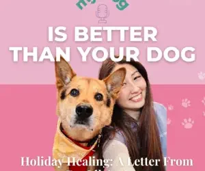 Minisode 1: Holiday Healing: A Letter From Dr. Lily’s Heart – Minisode