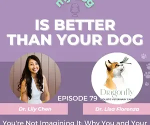 Episode 79: You’re Not Imagining It: Why You and Your Pet Share the Same Health Problems — With Dr. Lisa Fiorenza