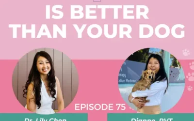 Episode 75: Year in Review: Sit. Stay. Reflect: 3 Talks That Changed Everything