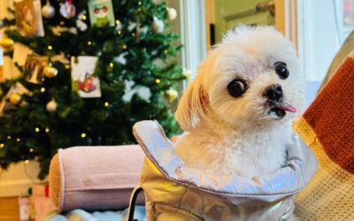 The one wish we all made this Christmas (it wasn’t what I expected)